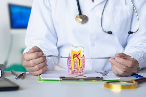 Best Emergency Orthodontic Repairs in Posen, IL